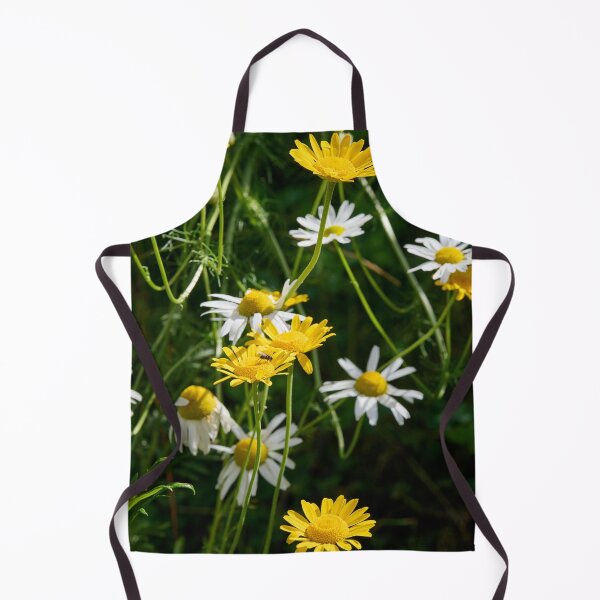 Item preview, Daisies and golden marguerites designed and sold by Jouko Lehto Photography.