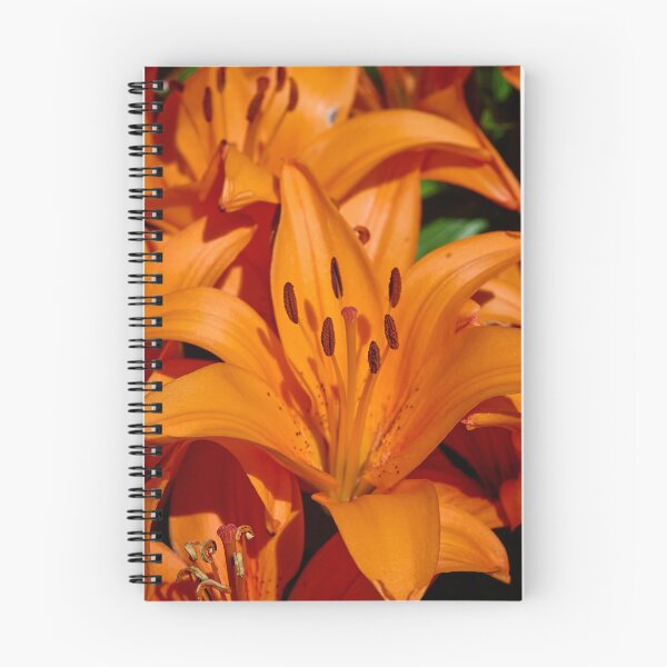 Item preview, All Orange lily designed and sold by Jouko Lehto Photography.