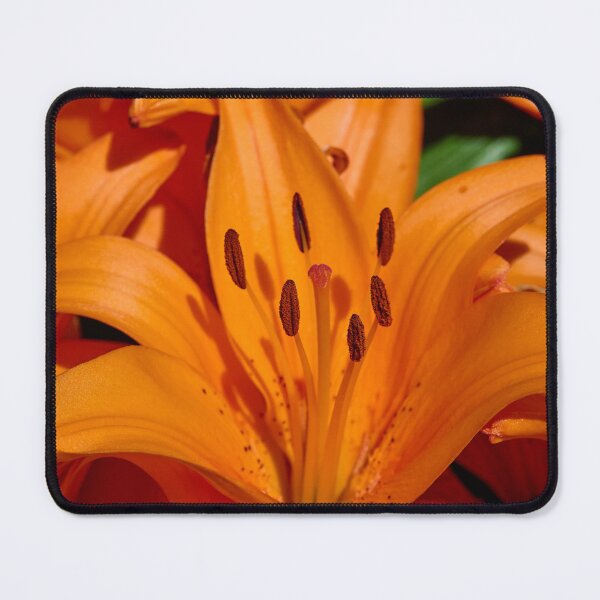 Item preview, All Orange lily designed and sold by Jouko Lehto Photography.