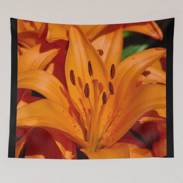Item preview, All Orange lily designed and sold by Jouko Lehto Photography.