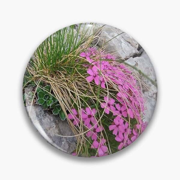 Item preview, Tatra Mountains Pink Moss Campion on Rocky Cliff designed and sold by GabeMountainArt.