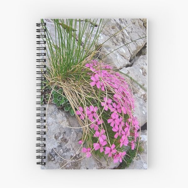 Item preview, Tatra Mountains Pink Moss Campion on Rocky Cliff designed and sold by GabeMountainArt.