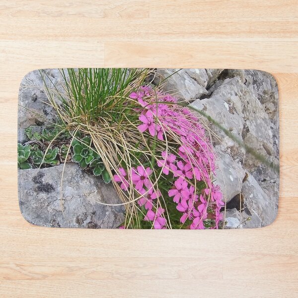 Item preview, Tatra Mountains Pink Moss Campion on Rocky Cliff designed and sold by GabeMountainArt.