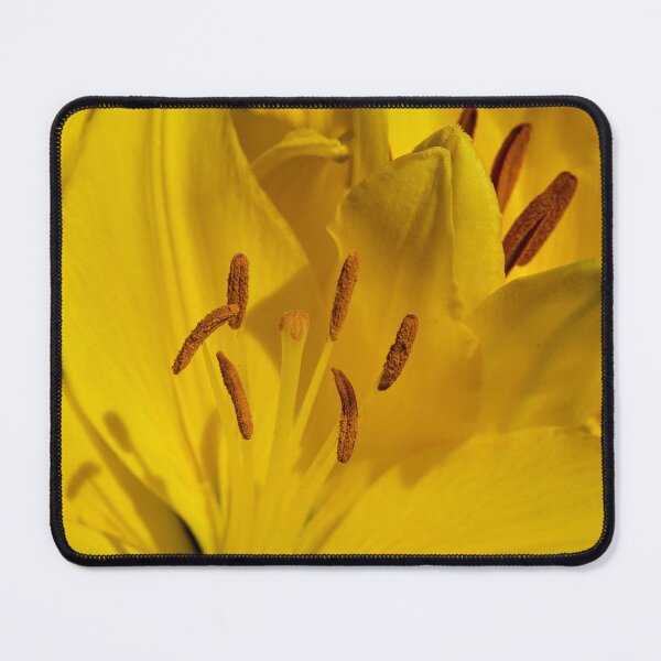 Item preview, All yellow lily designed and sold by Jouko Lehto Photography.