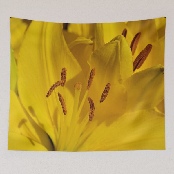 Item preview, All yellow lily designed and sold by Jouko Lehto Photography.