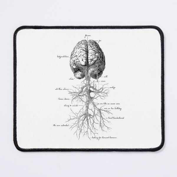 Item preview, Faint Anatomical Illustration Of Brain And Root designed and sold by AubreySmith2.
