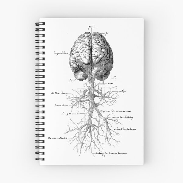 Item preview, Faint Anatomical Illustration Of Brain And Root designed and sold by AubreySmith2.