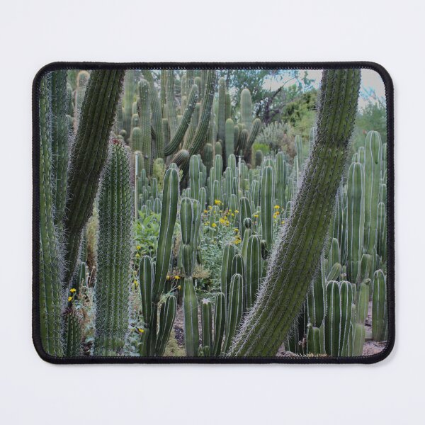 Item preview, Organ Pipe & Columnar Cactus Forest Sonoran Desert Garden designed and sold by SiliconValleyUS.