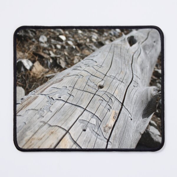 Item preview, Weathered Driftwood Log with Bark Beetle Engravings Nature Photography designed and sold by SiliconValleyUS.