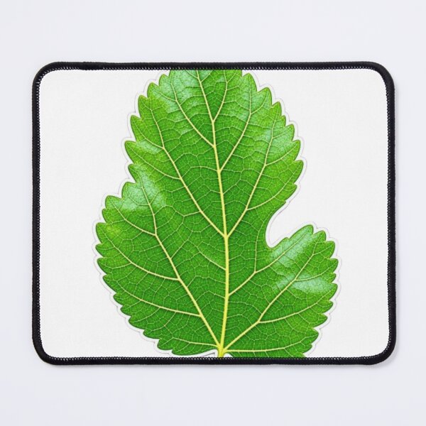 Item preview, Green Botanical Leaf – Nature Plant Aesthetic designed and sold by Graphix Studio.