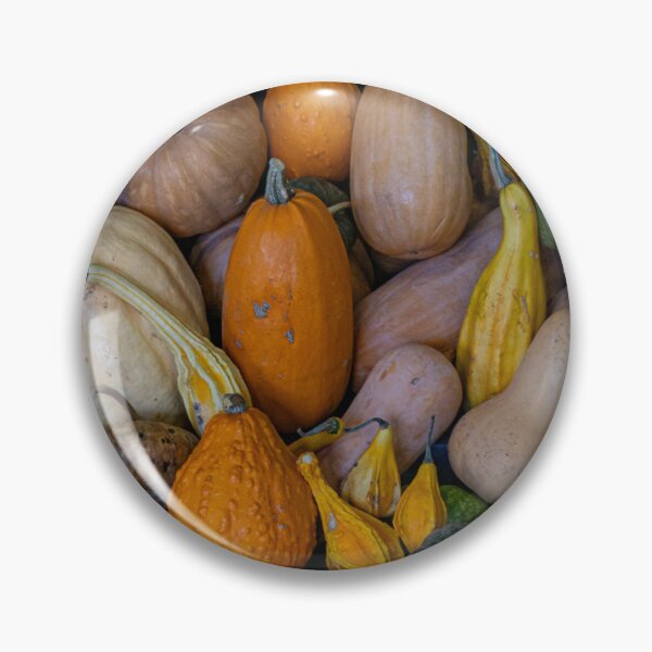 Item preview, Autumn’s Gourd and Pumpkin Garden designed and sold by Twisted Light Images.