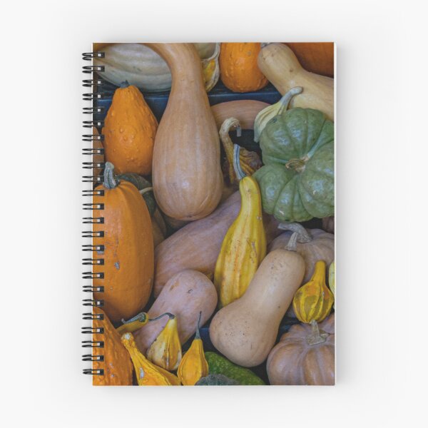Item preview, Autumn’s Gourd and Pumpkin Garden designed and sold by Twisted Light Images.