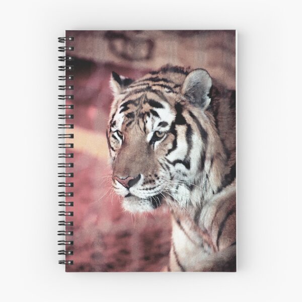 Item preview, vr 4064  : finition 2026  Tiger in a Cage ! - Tigre en Cage Photo by 3 Boites à Lumière Okaio - designed and sold by o.okaïo.
