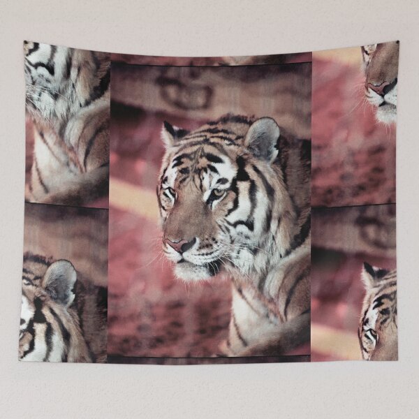 Item preview, vr 4064  : finition 2026  Tiger in a Cage ! - Tigre en Cage Photo by 3 Boites à Lumière Okaio - designed and sold by o.okaïo.