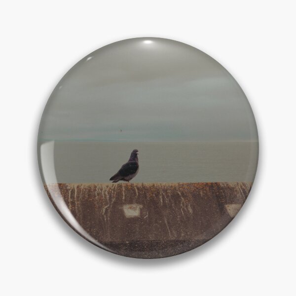 Item preview, pigeon portrait taken at saltcoats (scotland) (june 2026) designed and sold by photosbykel.