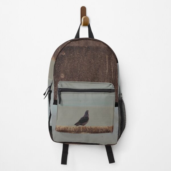 Item preview, pigeon portrait taken at saltcoats (scotland) (june 2026) designed and sold by photosbykel.