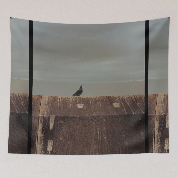 Item preview, pigeon portrait taken at saltcoats (scotland) (june 2026) designed and sold by photosbykel.