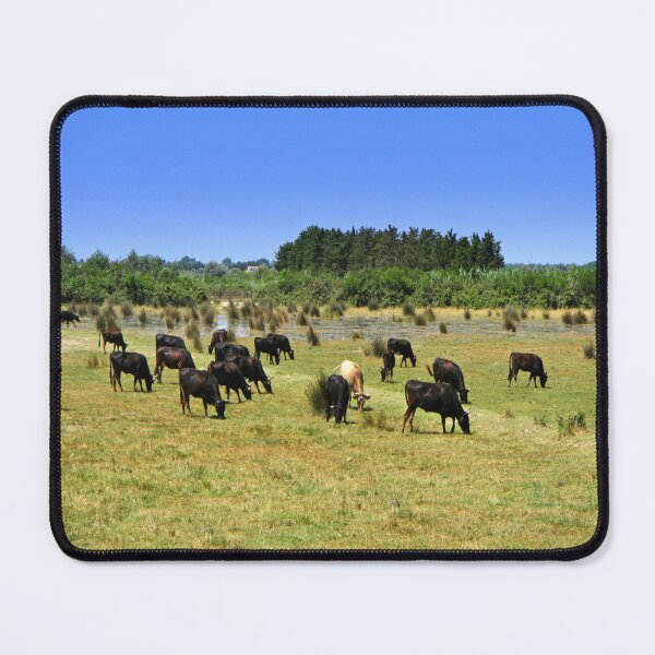 Item preview, The Camargue bull designed and sold by annalisa56.