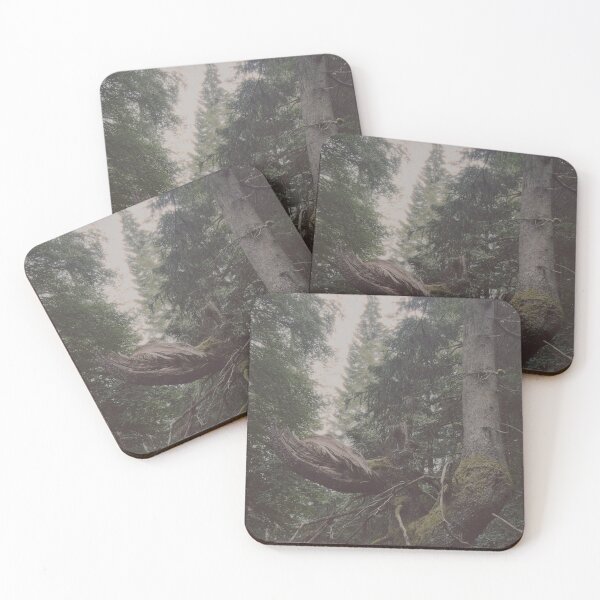 Item preview, broken, beautiful tree (the hermitage, dunkeld, scotland) (june 2026) designed and sold by photosbykel.
