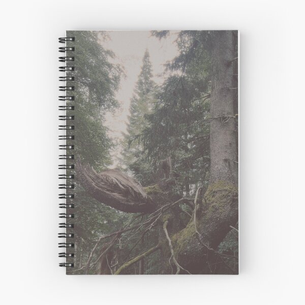 Item preview, broken, beautiful tree (the hermitage, dunkeld, scotland) (june 2026) designed and sold by photosbykel.