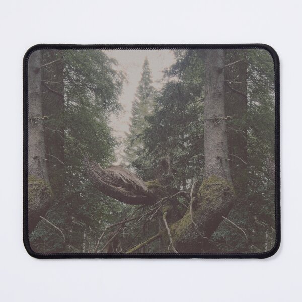 Item preview, broken, beautiful tree (the hermitage, dunkeld, scotland) (june 2026) designed and sold by photosbykel.