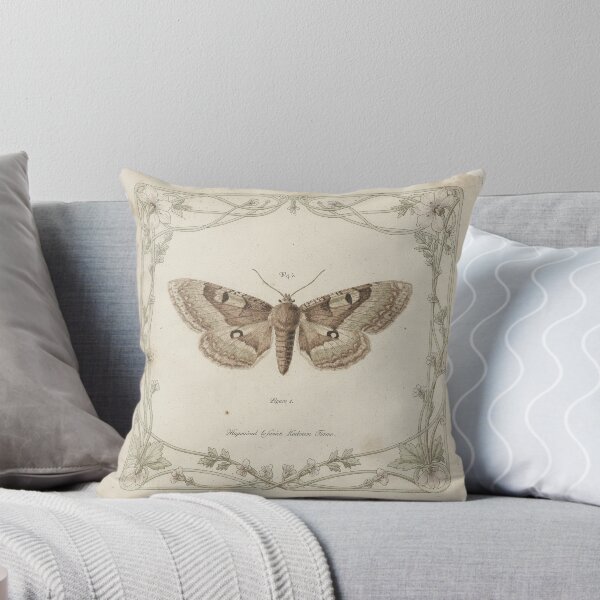 Item preview, Vintage Moth Specimen Study designed and sold by PictorialWhimsy.