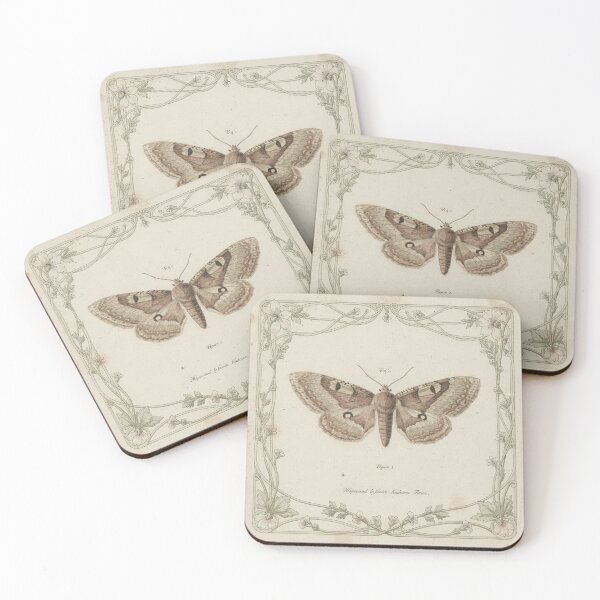 Item preview, Vintage Moth Specimen Study designed and sold by PictorialWhimsy.