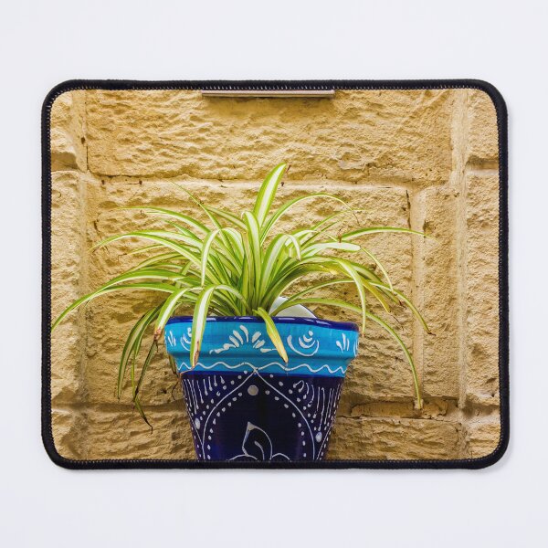 Item preview, Blue Ceramic Pot With Green Potted Plant Hanging On Textured Stone Wall In Sunny Outdoor Decor designed and sold by Nmallia.