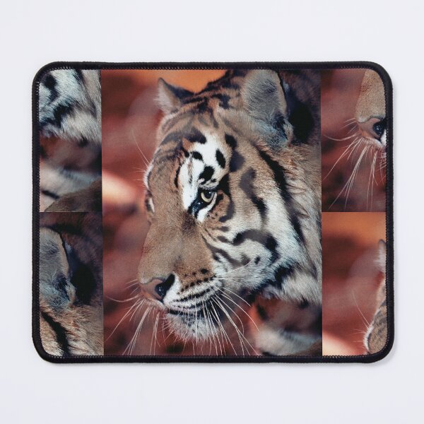 Item preview, vr 4063 : finition 2026 Tiger in a Cage ! - Tigre en Cage Photo by 3 Boites à Lumière Okaio - designed and sold by o.okaïo.