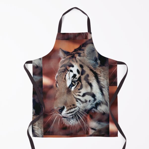 Item preview, vr 4063 : finition 2026 Tiger in a Cage ! - Tigre en Cage Photo by 3 Boites à Lumière Okaio - designed and sold by o.okaïo.
