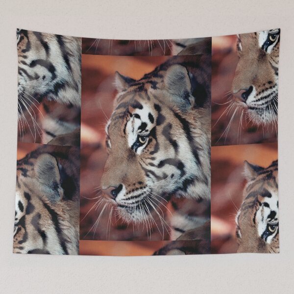 Item preview, vr 4063  : finition 2026  Tiger in a Cage ! - Tigre en Cage Photo by 3 Boites à Lumière Okaio - designed and sold by o.okaïo.