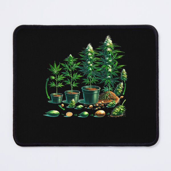 Item preview, Plant Seed To Flower Bud Pot Life Grow Cycle designed and sold by JevonCrist.