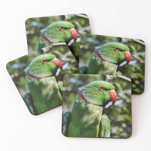 Item preview, Ringneck Parakeet designed and sold by Krameri Creations.