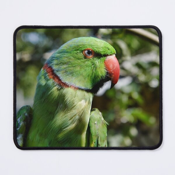 Item preview, Ringneck Parakeet designed and sold by Krameri Creations.