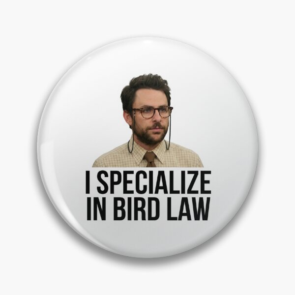 Item preview, I Specialize in Bird Law Funny Charlie Kelly Law School Humor Quote Graphic designed and sold by raedattia.