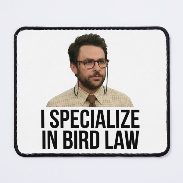 Item preview, I Specialize in Bird Law Funny Charlie Kelly Law School Humor Quote Graphic designed and sold by raedattia.