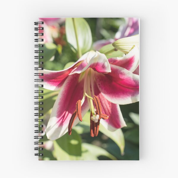 Item preview, Beautiful Asiatic Lily Blooms in a Sunny Garden designed and sold by Georgia Mizuleva.