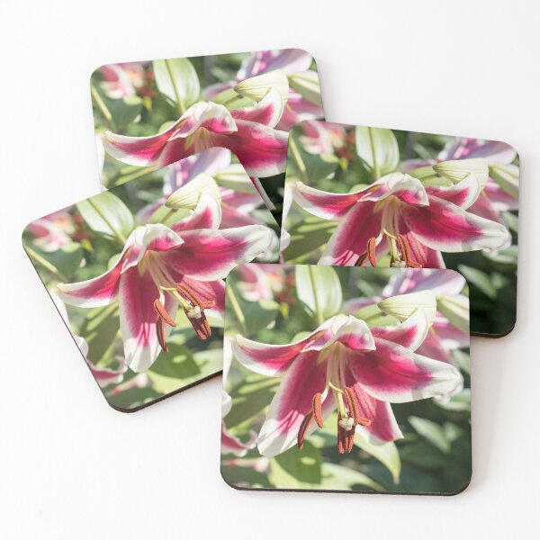 Item preview, Beautiful Asiatic Lily Blooms in a Sunny Garden designed and sold by Georgia Mizuleva.