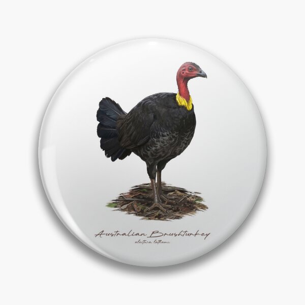 Item preview, Australian Brushturkey on Ground Bird Illustration designed and sold by Takeda-art.