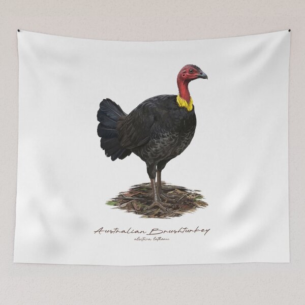 Item preview, Australian Brushturkey on Ground Bird Illustration designed and sold by Takeda-art.