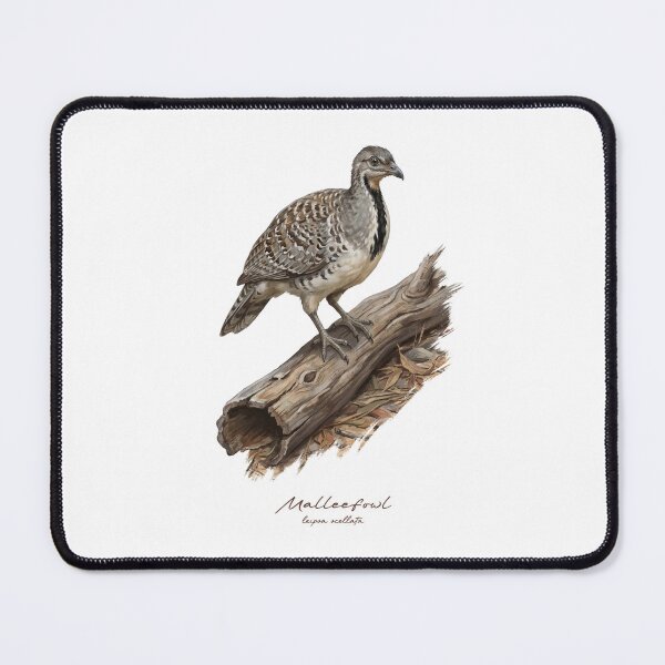 Item preview, Malleefowl on Wooden Log Bird Illustration designed and sold by Takeda-art.