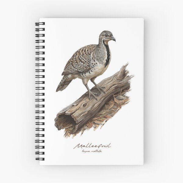 Item preview, Malleefowl on Wooden Log Bird Illustration designed and sold by Takeda-art.