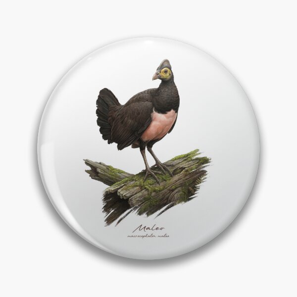 Item preview, Maleo on Mossy Wood Log Bird Illustration designed and sold by Takeda-art.