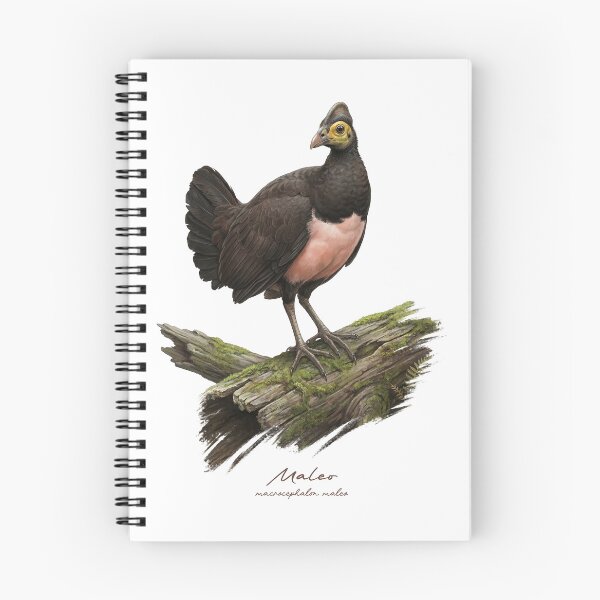 Item preview, Maleo on Mossy Wood Log Bird Illustration designed and sold by Takeda-art.