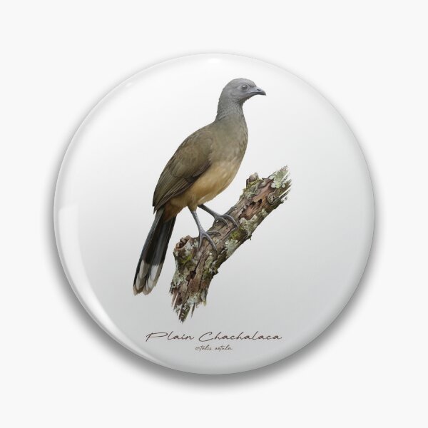 Item preview, Plain Chachalaca on Rustic Branch Bird Illustration designed and sold by Takeda-art.