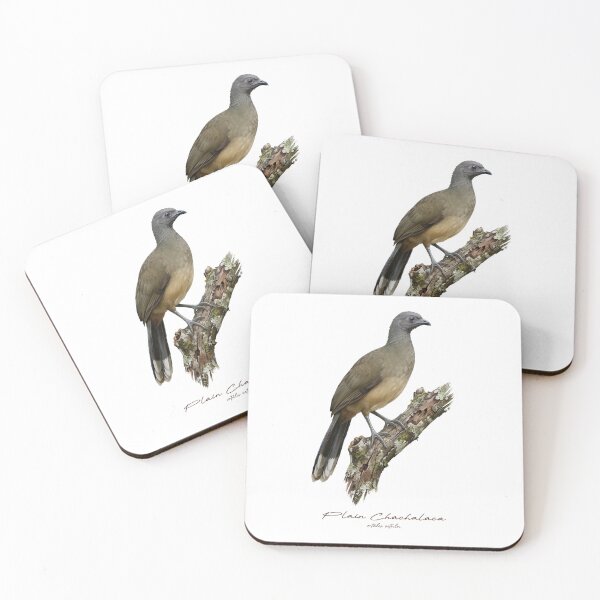 Item preview, Plain Chachalaca on Rustic Branch Bird Illustration designed and sold by Takeda-art.