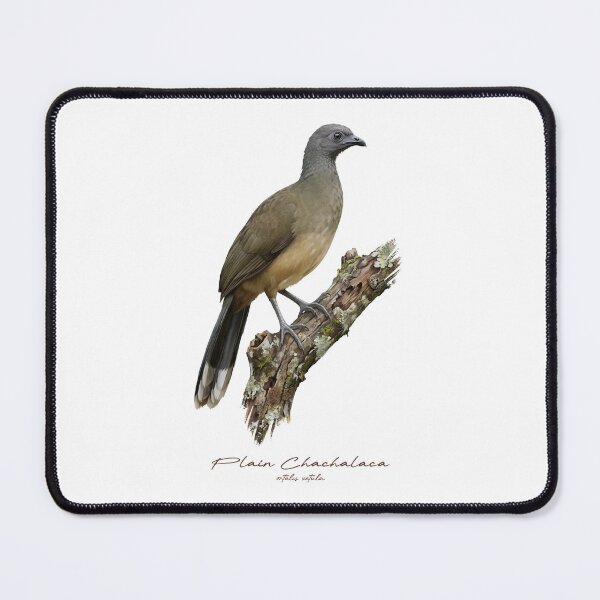 Item preview, Plain Chachalaca on Rustic Branch Bird Illustration designed and sold by Takeda-art.