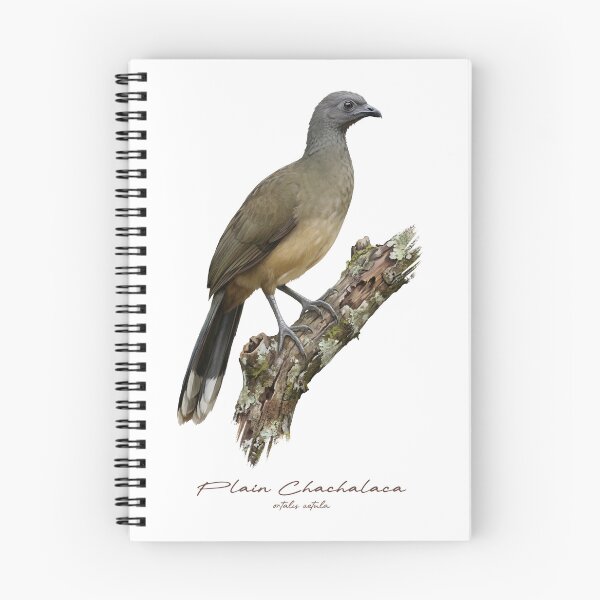 Item preview, Plain Chachalaca on Rustic Branch Bird Illustration designed and sold by Takeda-art.