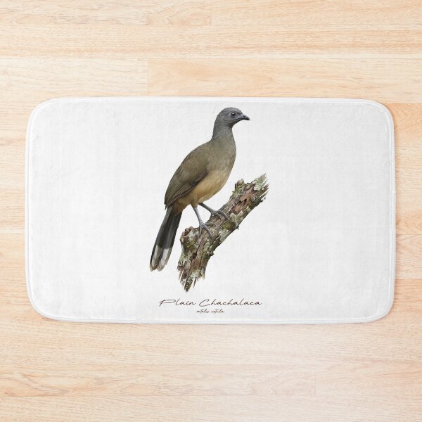 Item preview, Plain Chachalaca on Rustic Branch Bird Illustration designed and sold by Takeda-art.