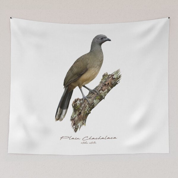 Item preview, Plain Chachalaca on Rustic Branch Bird Illustration designed and sold by Takeda-art.